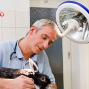 lampe de chirurgie et d'examen OSRAM